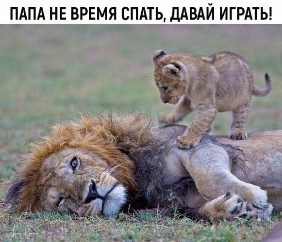 https://upforme.ru/uploads/0012/6e/7d/1844/663379.jpg