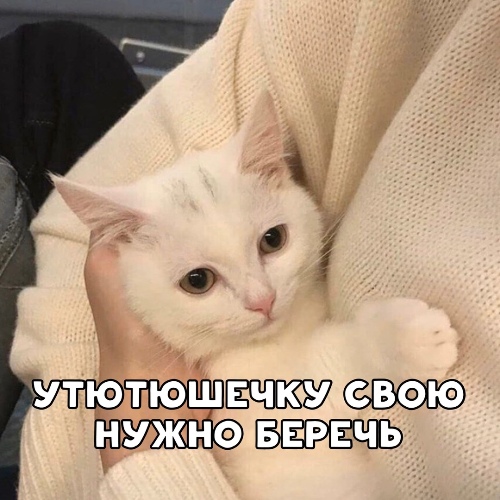https://upforme.ru/uploads/0012/6e/7d/1844/671029.jpg