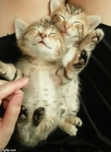https://upforme.ru/uploads/0012/6e/7d/1844/676271.gif