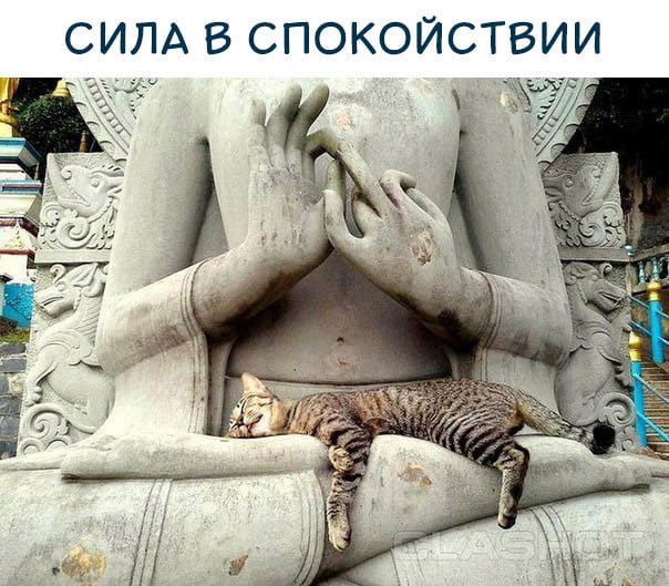 https://upforme.ru/uploads/0012/6e/7d/1844/681267.jpg