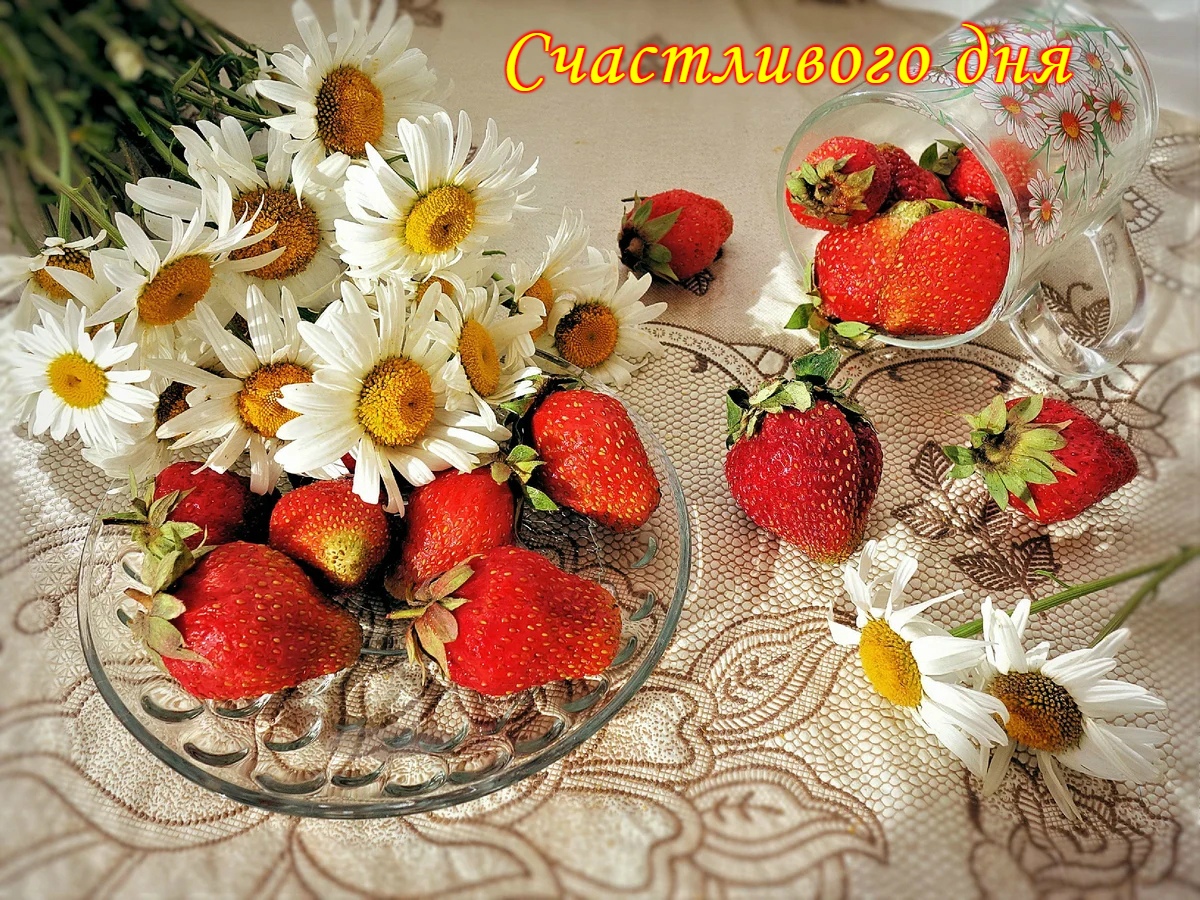 https://upforme.ru/uploads/0012/6e/7d/1844/68286.jpg