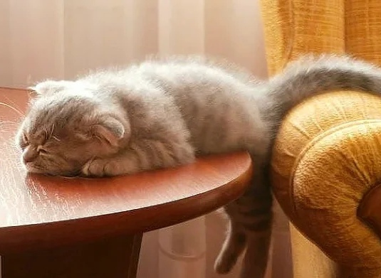 https://upforme.ru/uploads/0012/6e/7d/1844/687155.jpg