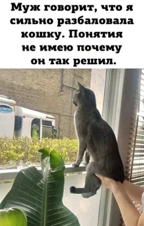 https://upforme.ru/uploads/0012/6e/7d/1844/688528.jpg