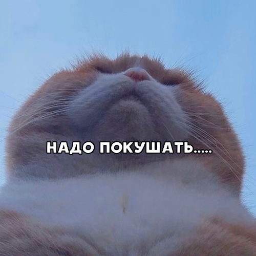 https://upforme.ru/uploads/0012/6e/7d/1844/694284.jpg