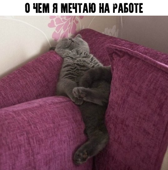https://upforme.ru/uploads/0012/6e/7d/1844/703593.jpg
