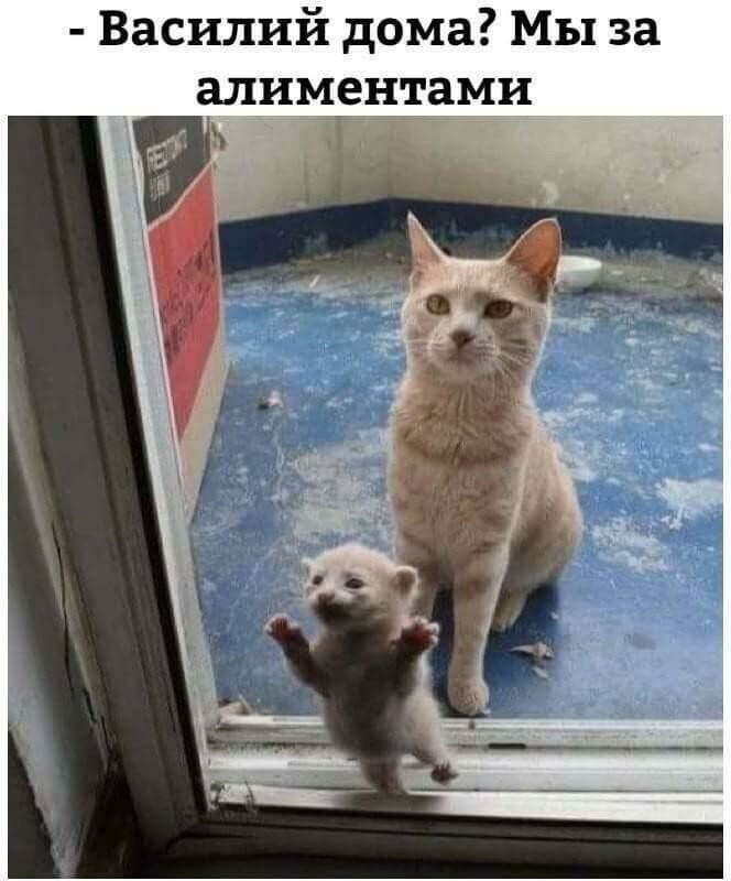 https://upforme.ru/uploads/0012/6e/7d/1844/752788.jpg