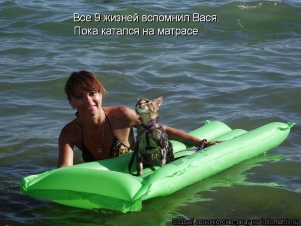 https://upforme.ru/uploads/0012/6e/7d/1844/758252.jpg
