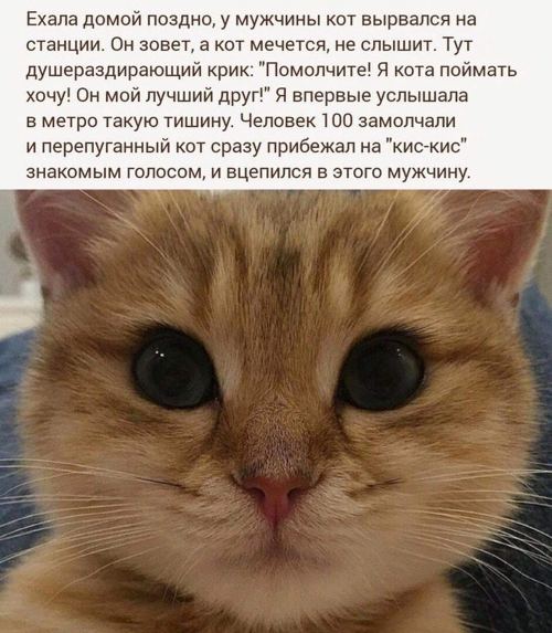 https://upforme.ru/uploads/0012/6e/7d/1844/766949.jpg