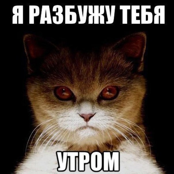https://upforme.ru/uploads/0012/6e/7d/1844/771771.jpg