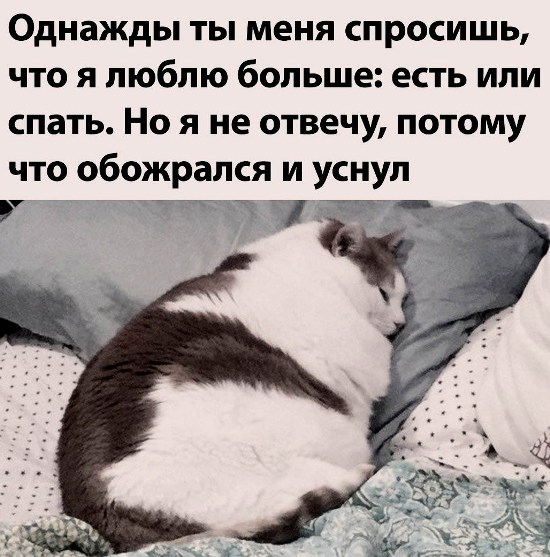 https://upforme.ru/uploads/0012/6e/7d/1844/778156.jpg