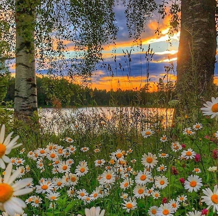https://upforme.ru/uploads/0012/6e/7d/1844/784209.jpg