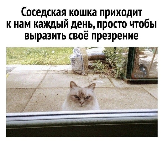 https://upforme.ru/uploads/0012/6e/7d/1844/790086.jpg