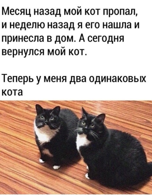 https://upforme.ru/uploads/0012/6e/7d/1844/791020.jpg