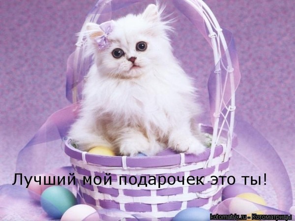https://upforme.ru/uploads/0012/6e/7d/1844/791602.jpg