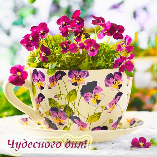 https://upforme.ru/uploads/0012/6e/7d/1844/792894.jpg