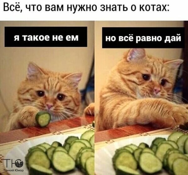 https://upforme.ru/uploads/0012/6e/7d/1844/797671.jpg