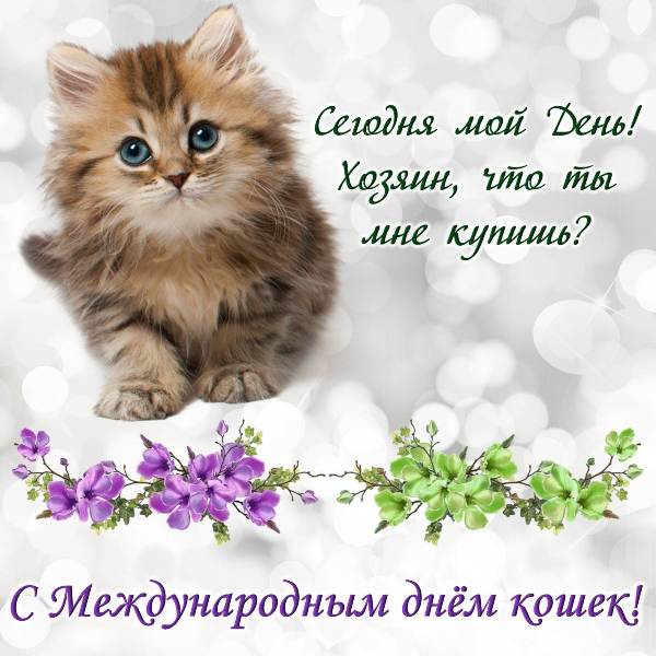https://upforme.ru/uploads/0012/6e/7d/1844/823807.jpg