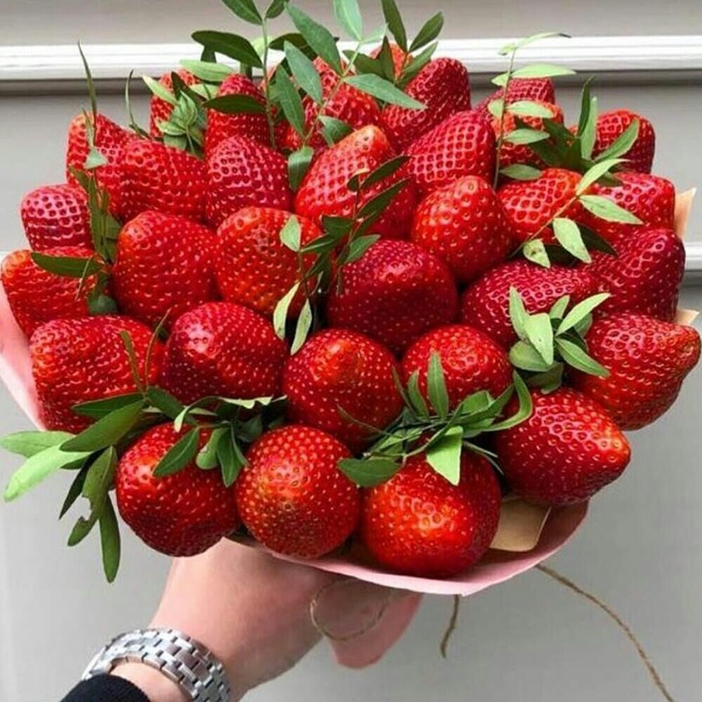 https://upforme.ru/uploads/0012/6e/7d/1844/828668.jpg