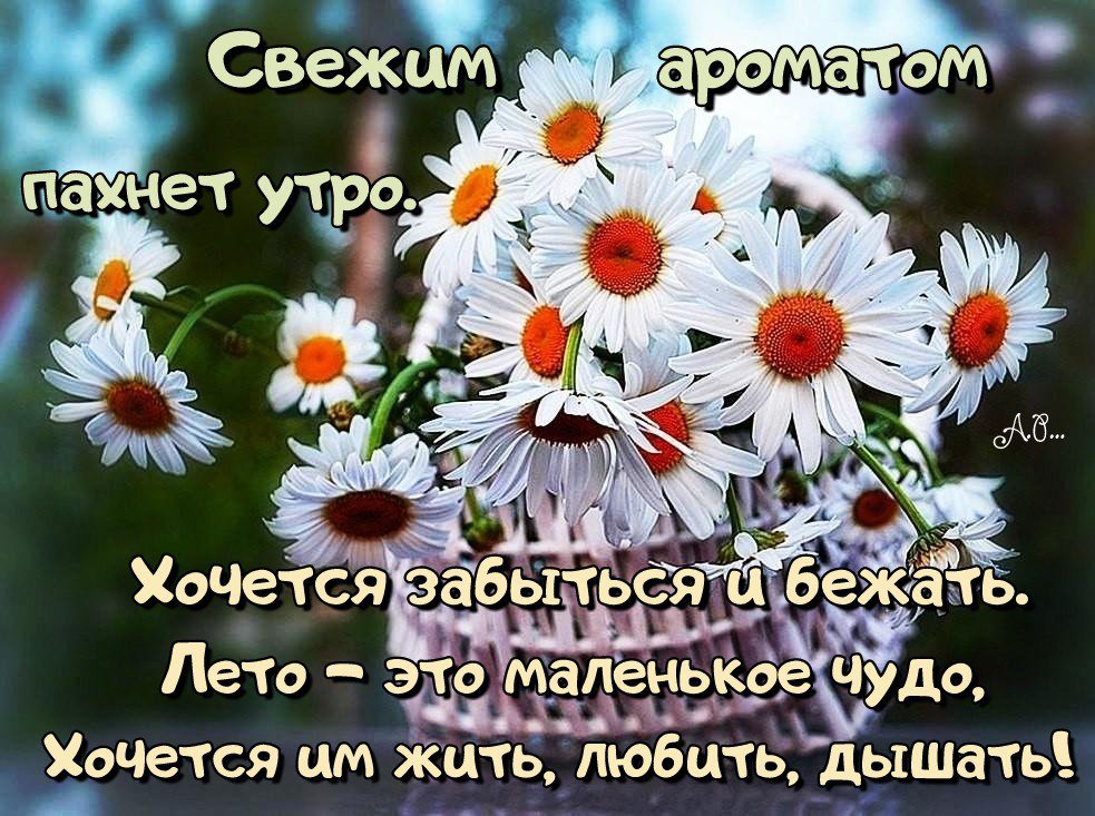 https://upforme.ru/uploads/0012/6e/7d/1844/832773.jpg