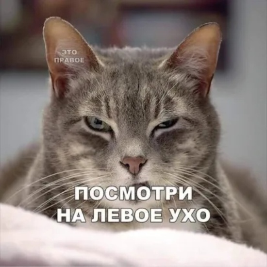 https://upforme.ru/uploads/0012/6e/7d/1844/840204.jpg