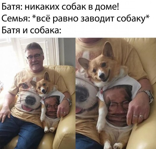 https://upforme.ru/uploads/0012/6e/7d/1844/843288.jpg
