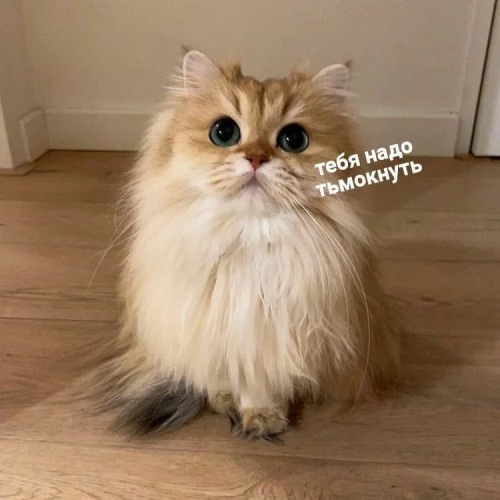 https://upforme.ru/uploads/0012/6e/7d/1844/847535.jpg