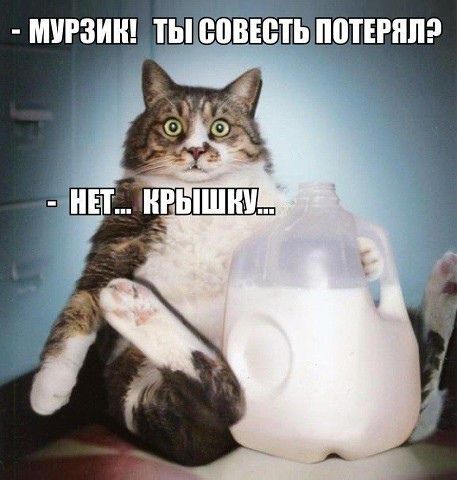 https://upforme.ru/uploads/0012/6e/7d/1844/847943.jpg