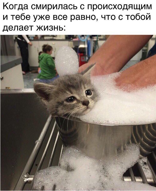 https://upforme.ru/uploads/0012/6e/7d/1844/897062.jpg
