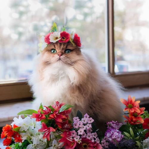 https://upforme.ru/uploads/0012/6e/7d/1844/898763.jpg