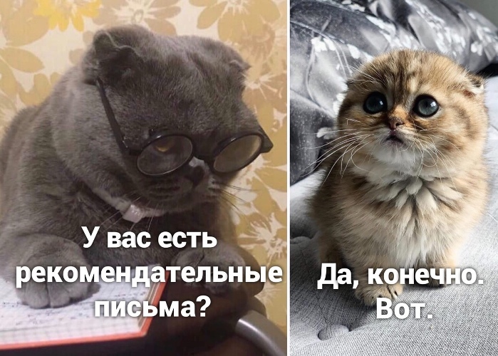 https://upforme.ru/uploads/0012/6e/7d/1844/906843.jpg