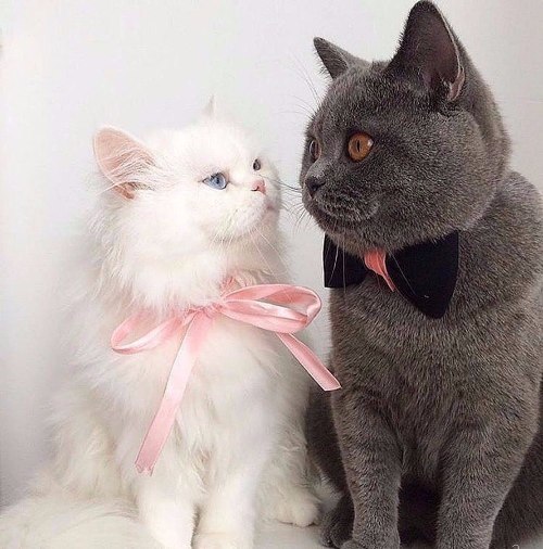 https://upforme.ru/uploads/0012/6e/7d/1844/912738.jpg
