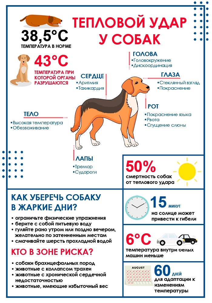 https://upforme.ru/uploads/0012/6e/7d/1844/915922.jpg
