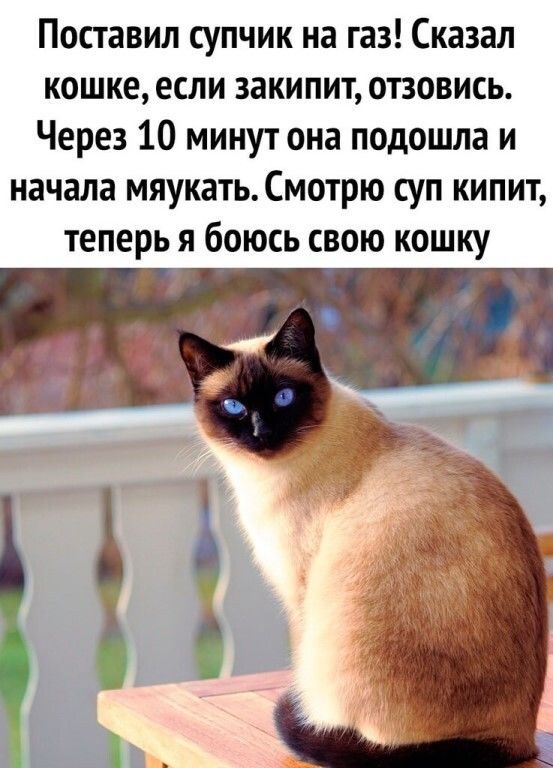 https://upforme.ru/uploads/0012/6e/7d/1844/918120.jpg