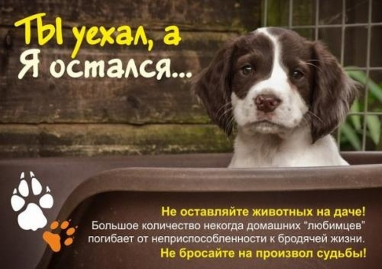 https://upforme.ru/uploads/0012/6e/7d/1844/92257.jpg