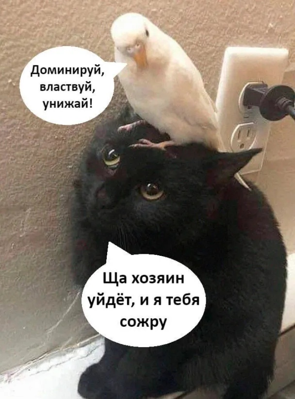 https://upforme.ru/uploads/0012/6e/7d/1844/922948.jpg