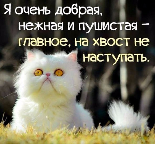 https://upforme.ru/uploads/0012/6e/7d/1844/925320.jpg