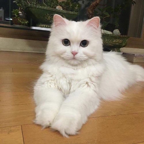 https://upforme.ru/uploads/0012/6e/7d/1844/928651.jpg
