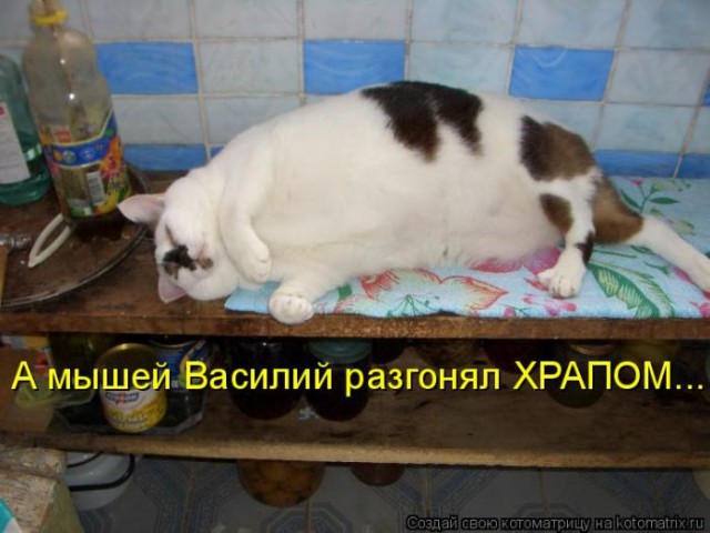 https://upforme.ru/uploads/0012/6e/7d/1844/946903.jpg