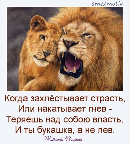 https://upforme.ru/uploads/0012/6e/7d/1844/947078.jpg