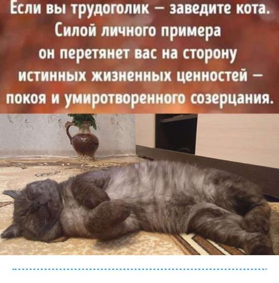 https://upforme.ru/uploads/0012/6e/7d/1844/947714.jpg
