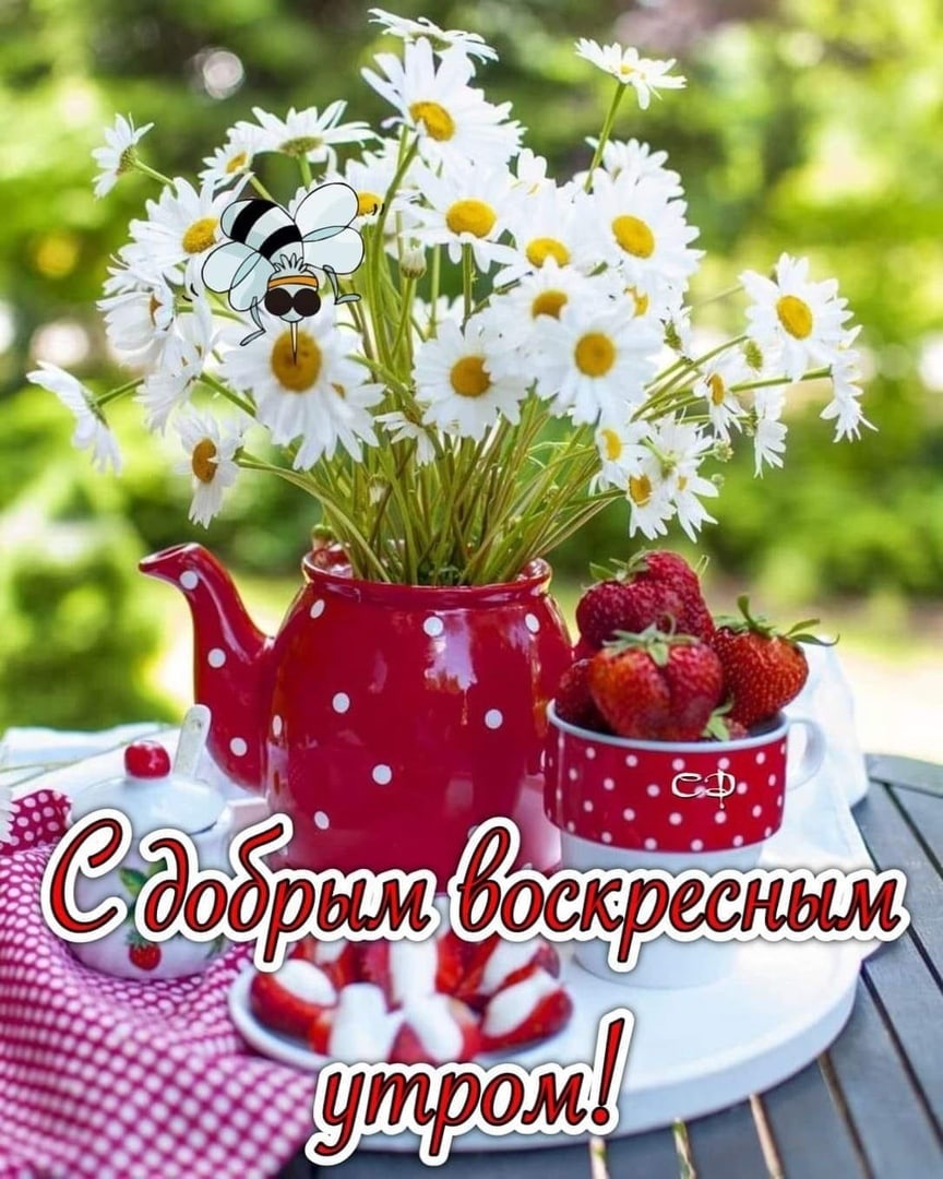 https://upforme.ru/uploads/0012/6e/7d/1844/972788.jpg