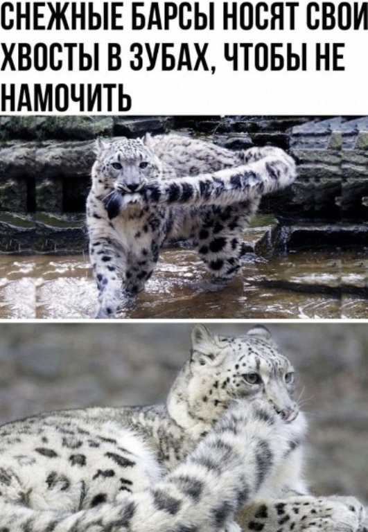 https://upforme.ru/uploads/0012/6e/7d/1844/973149.jpg