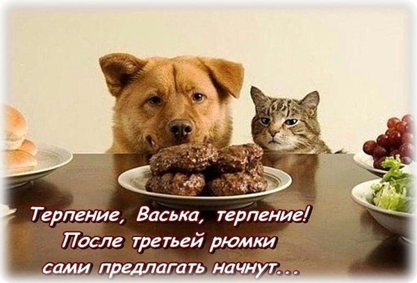 https://upforme.ru/uploads/0012/6e/7d/1844/98607.jpg