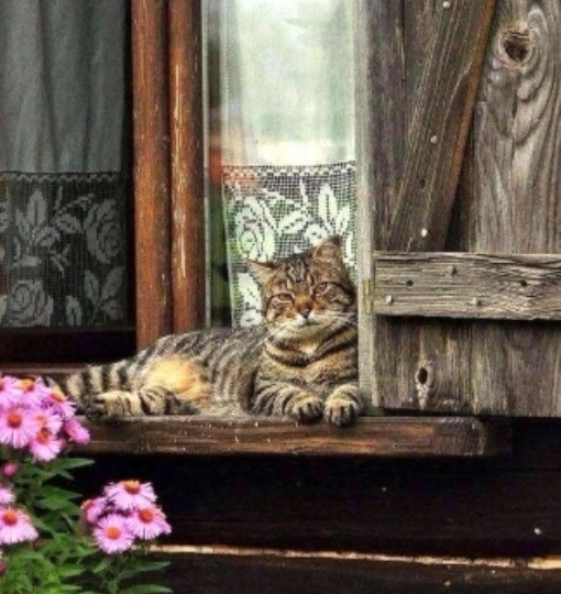 https://upforme.ru/uploads/0012/6e/7d/1844/986631.jpg