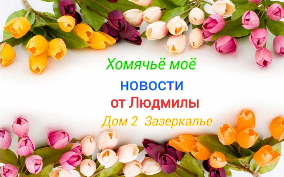 https://upforme.ru/uploads/0012/6e/7d/1844/99193.jpg
