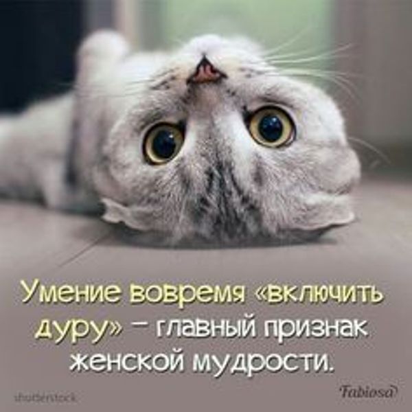https://upforme.ru/uploads/0012/6e/7d/1844/992706.jpg