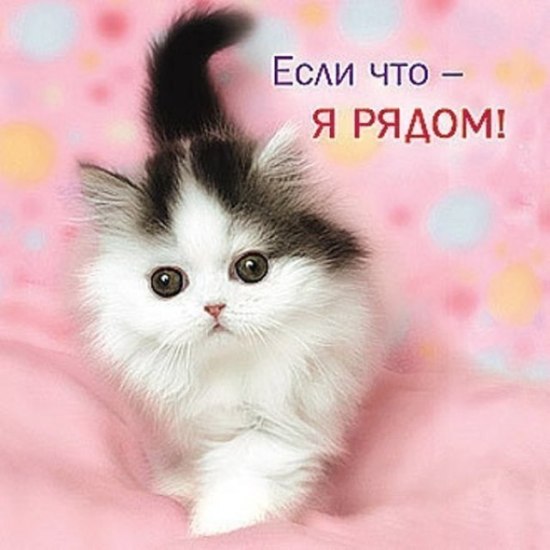 https://upforme.ru/uploads/0012/6e/7d/1844/995842.jpg