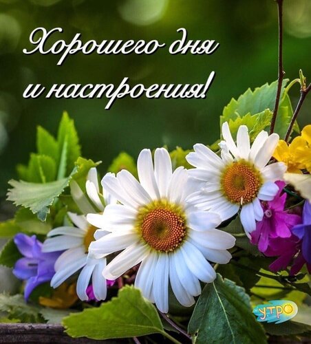 https://upforme.ru/uploads/0012/6e/7d/1850/104517.jpg
