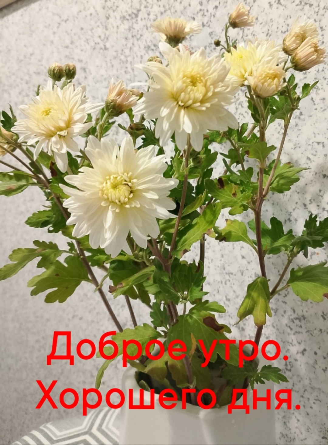 https://upforme.ru/uploads/0012/6e/7d/1850/110436.jpg