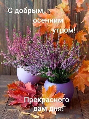 https://upforme.ru/uploads/0012/6e/7d/1850/116416.jpg